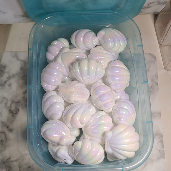 Iridescent Seashell Containers - Picture 1 of 7
